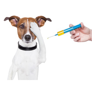 واکسیناسیون سگ ها ( ژرمن شپرد )